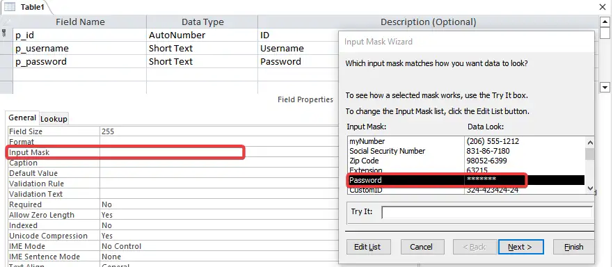 Table field input mask in MS Access